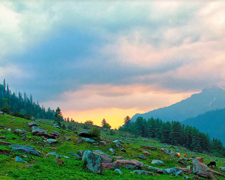 Kasol