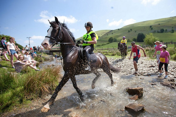 Man versus horse marathon: