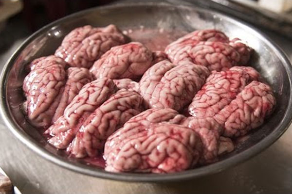 3. Monkey brain (consumed in China): Having the brains raw or cooked can cause transmissible encephalopathies, a nervous disorder. 3. Monkey brain (consumed in China): Having the brains raw or cooked can cause transmissible encephalopathies, a nervous disorder.