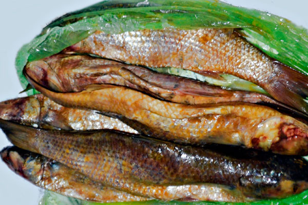 4. Fesikh (consumed in Egypt): It is a fish delicacy which is a spring festival food prepared by drying them under the sun and fermenting in salt. It can cause severe food poisoning.