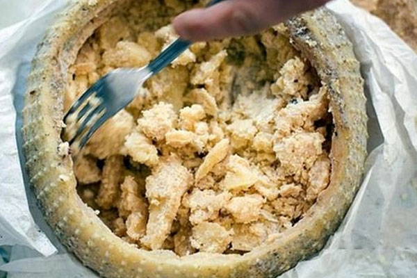 10. Casu Marzu (consumed in Italy): Huge chunks of cheese which contain larvae. 10. Casu Marzu (consumed in Italy): Huge chunks of cheese which contain larvae.