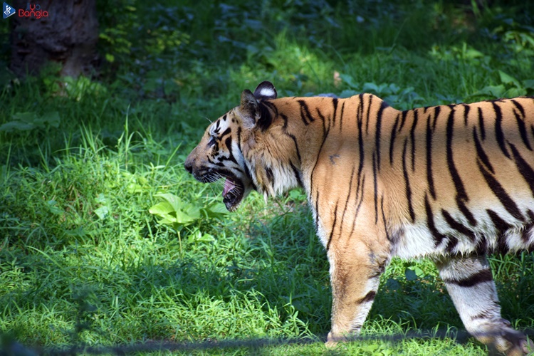 ছুটির দিনে পশু পাখিদের সাথে একটু চিড়িয়াখানায়… #চিড়িয়াখানা