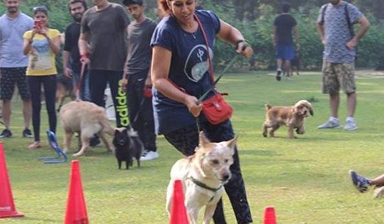 Pet Carnival in Kolkata