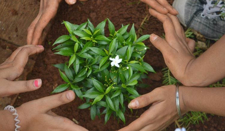 Greener Kolkata – Cleaner Kolkata