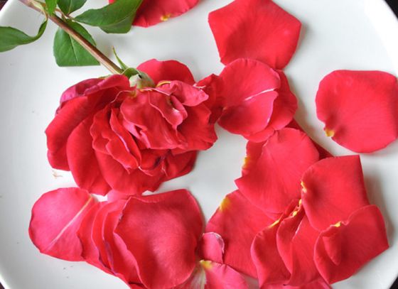 5 curable diseases by Rose Petals