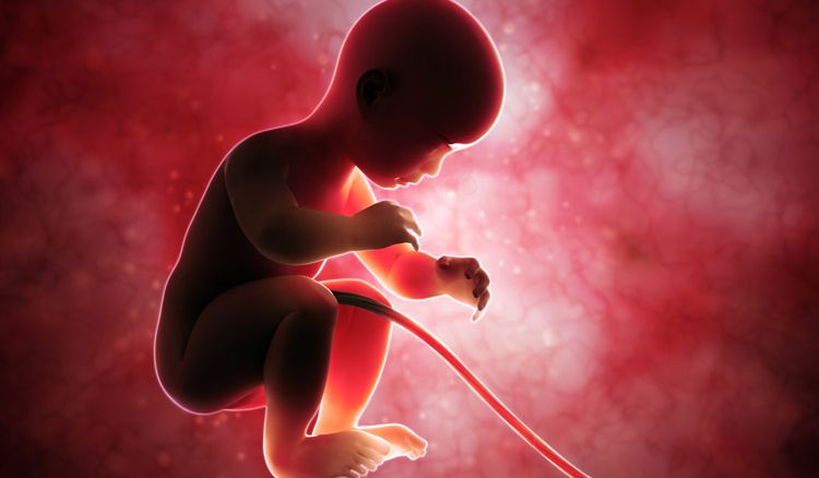5 Signs to Know your Unborn is in Danger