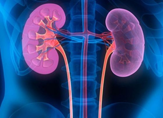 Prevention is better than cure: Simple ways prevent kidney diseases