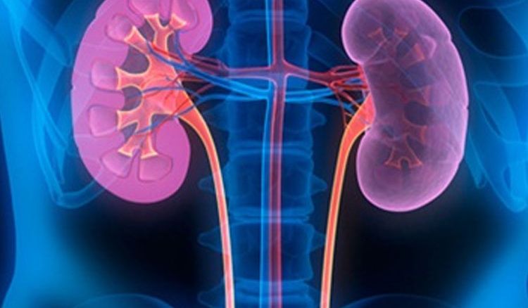 Prevention is better than cure: Simple ways prevent kidney diseases
