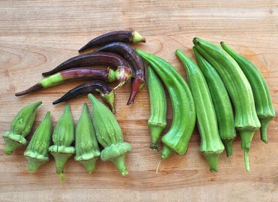 Amazing health benefits of Okra/Lady’s Finger