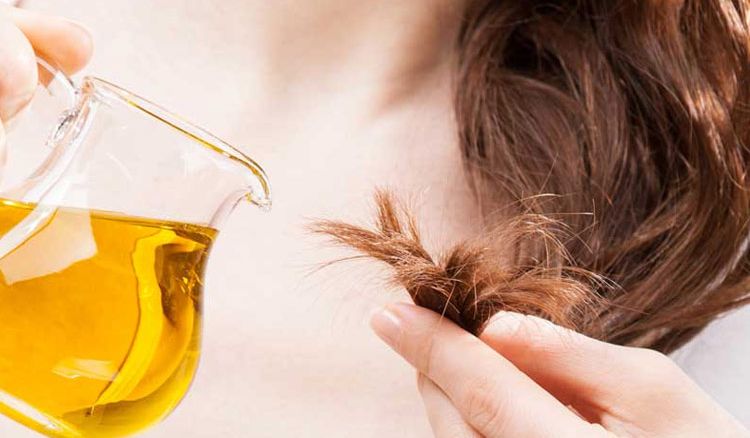 Start oiling your hair regularly… you may Thank us later