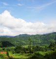 Petrichor: Farm in Gorubathan