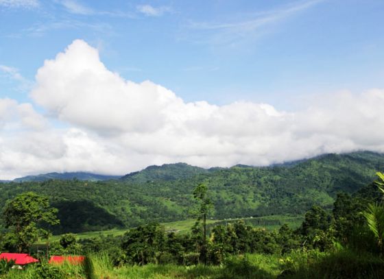 Petrichor: Farm in Gorubathan