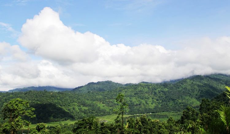 Petrichor: Farm in Gorubathan