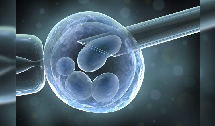 IVF: Pros and cons