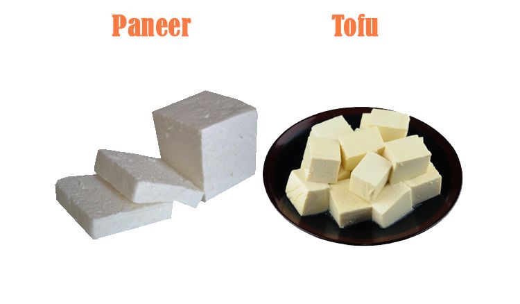 Paneer vs Tofu: How are these different?