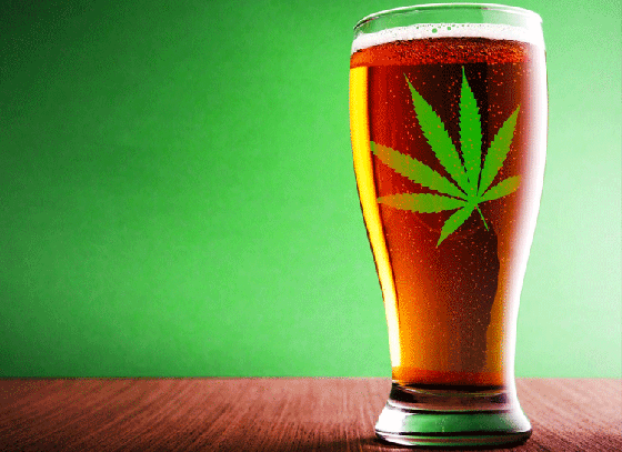 Weed beer is safer than alcohol