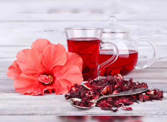 Health benefits of hibiscus rosa-sinesis