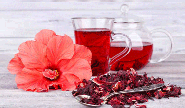 Health benefits of hibiscus rosa-sinesis