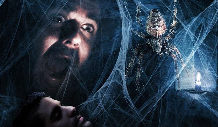 Five Ways Of Getting Rid Of Arachnophobia