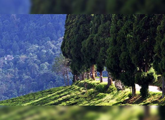 A house atop a hill- Tilabari