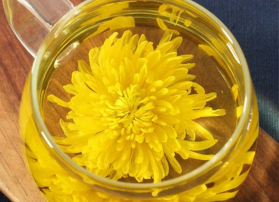 Benefits of Chrysanthemum Tea