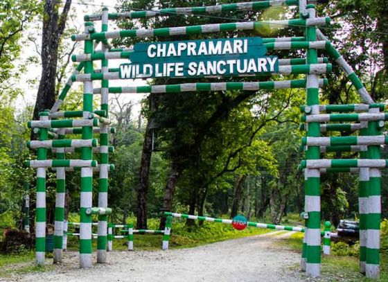 Chapramari: A Must Visit in North Bengal