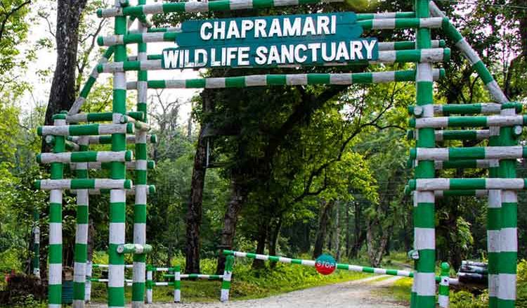 Chapramari: A Must Visit in North Bengal