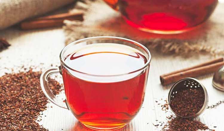 Know the Benefits of Rooibos Tea