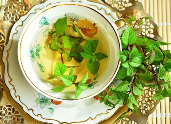 Peppermint Tea: The Refreshing Breed