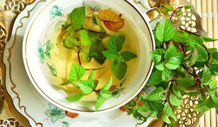 Peppermint Tea: The Refreshing Breed