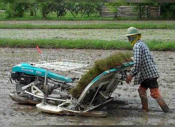 Paddy Transplanting Machines: An Aid to Farmers