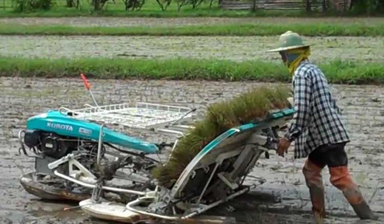 Paddy Transplanting Machines: An Aid to Farmers