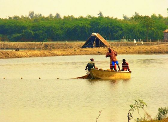 3 New Fish Varieties to be Cultivated in WB