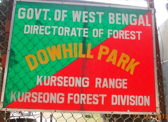 Forest department changes tradition
