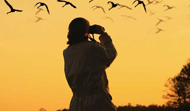 Places to hit up this winter if you’re a Birdwatcher