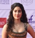 আসছে জাহ্নবী কাপুরের নতুন ছবি