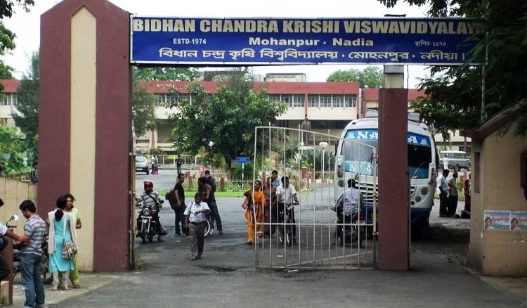 Bidhan Chandra Krishi Viswavidyalaya reopens
