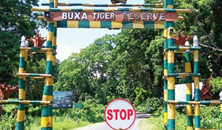 Nature Trail to be reintroduced