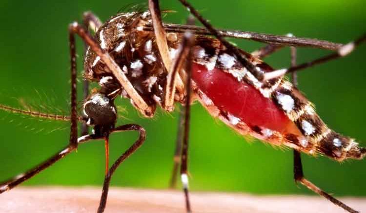 Azamgarh Residents Still Wary Of Dengue Attack