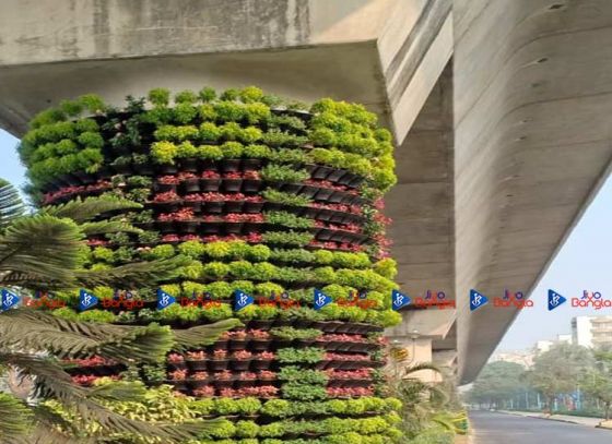 Neglected pillars gets new lease of life in New Town