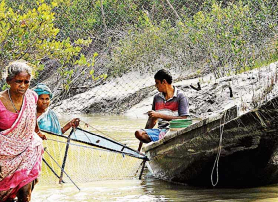 Boat license for fishermen in Sundarbans