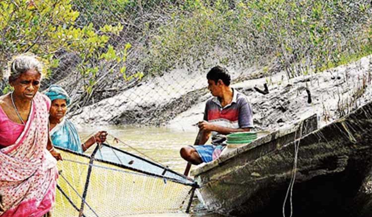 Boat license for fishermen in Sundarbans