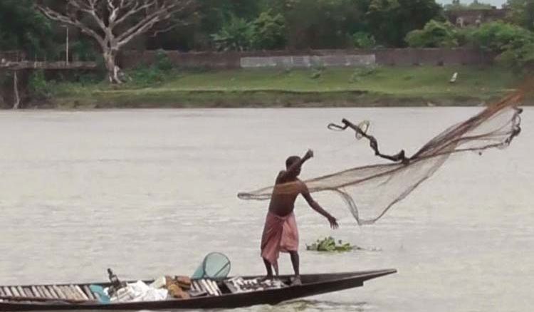 Fish of The Ganga is not safe for eating