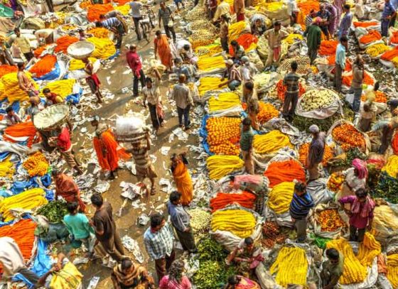 The Garden Of Eden In West Bengal