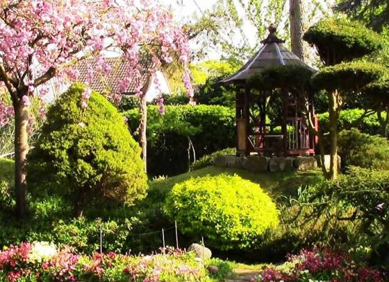 Viswa Bharati to restore its Japanese gardens