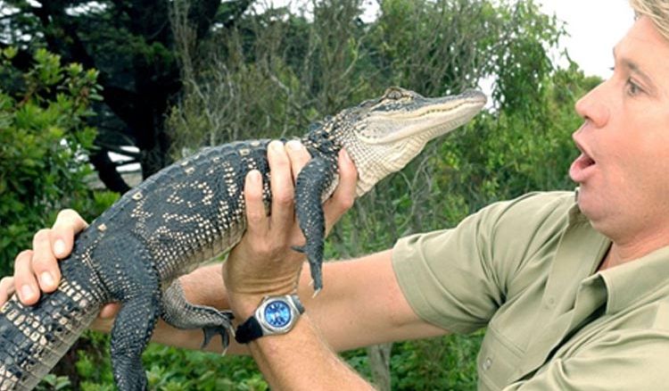 57th Birth Anniversary to Steve Irwin