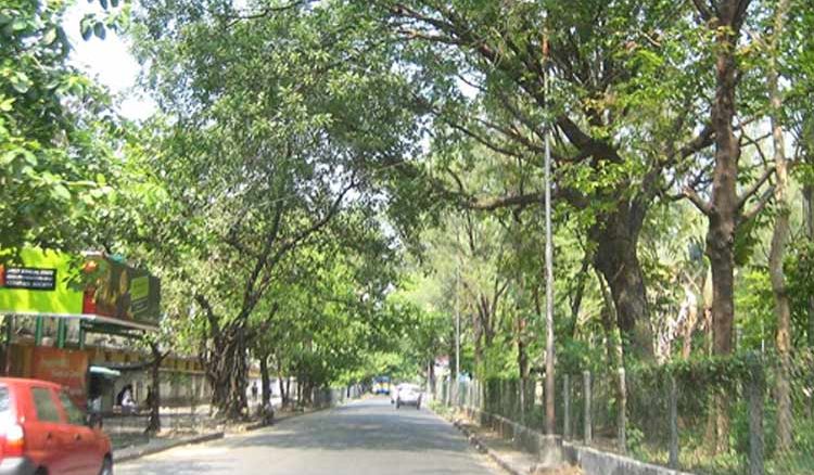 Sprinklers to be installed in Southern Avenue by KMC