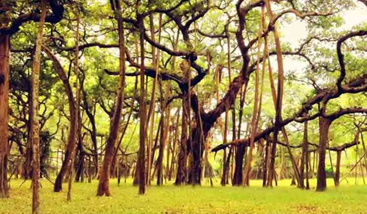 Country’s Oldest Botanical Garden