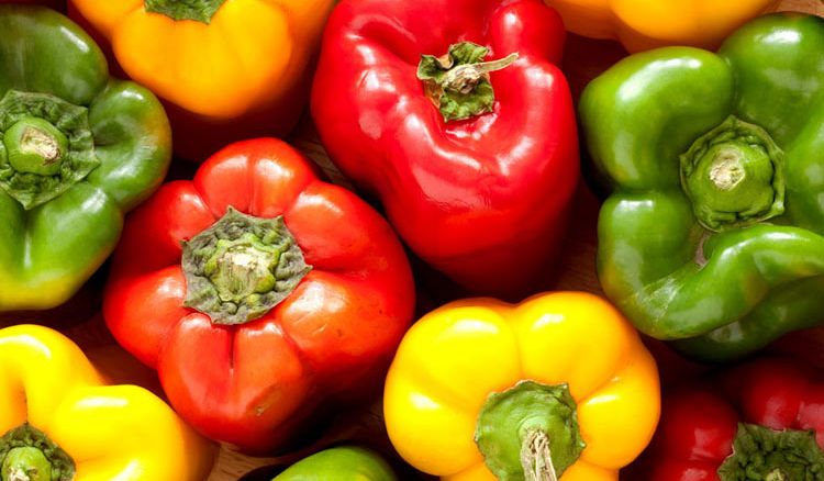 Capsicum cultivation at polyhouse increased by three times