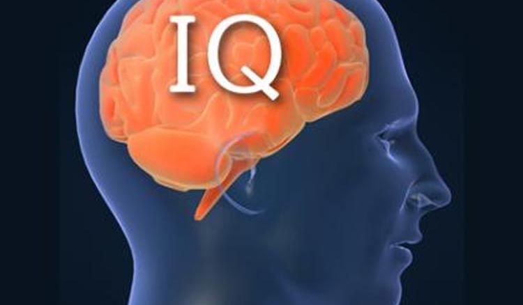 How to increase IQ